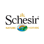 Schesir